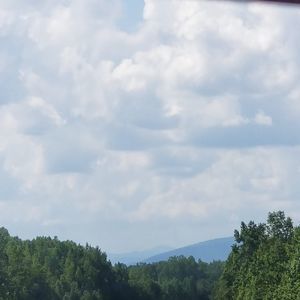 Meet your Posher, Denise lee